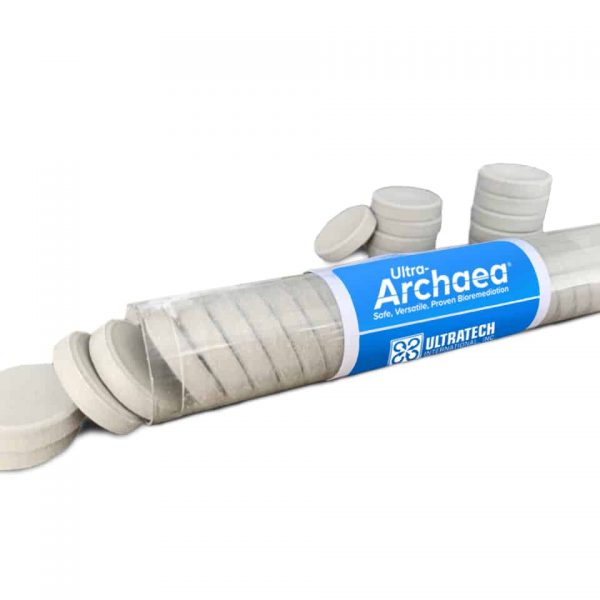 Archaea Tablets, 20-Billion Clay, (24) Per Tube, (12) Per Box